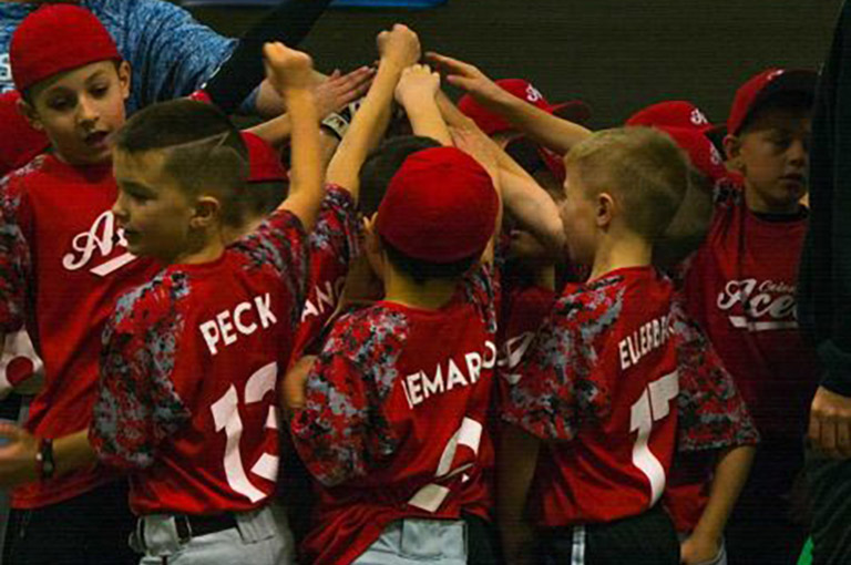 2019 Sandlot baseball team