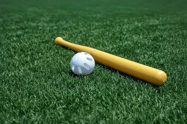 wiffle ball and bat in grass